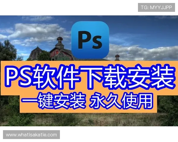 便捷获取PA平台下载安装资源的完整教程