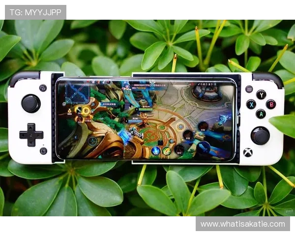 凯发娱乐正规官网多平台兼容,手机电脑随时随地畅玩游戏